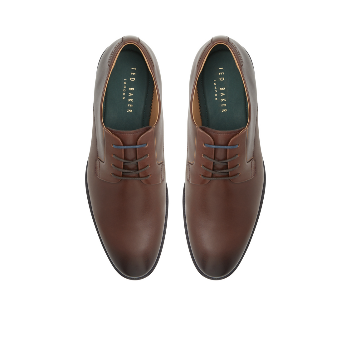 Ted Baker REGENT - Brown Smooth Leather Derby Shoes