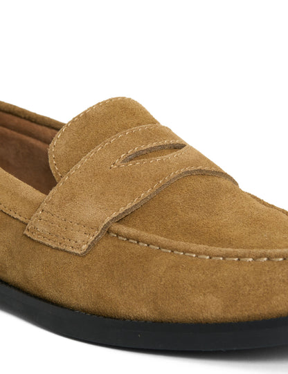 Ted Baker PARLIAMENT - Shoes
